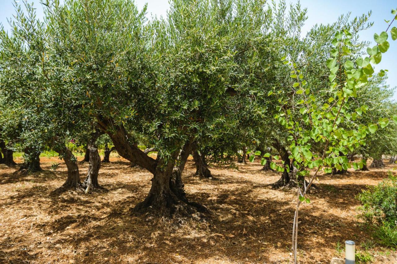 סקופלו Casale La Macina Residence Scopello מראה חיצוני תמונה