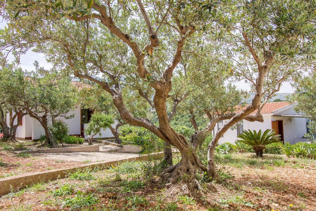 סקופלו Casale La Macina Residence Scopello מראה חיצוני תמונה